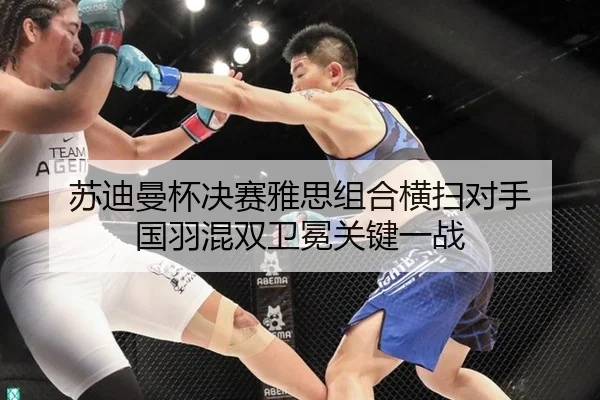 su-di-man-bei-jue-sai-ya-si-zu-he-heng-sao-dui-shou-guo-yu-hun-shuang-wei-mian-guan-jian-yi-zhan-3-489.jpg
